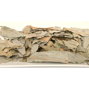 Memişoğlu Baharat Avakado Yaprağı 100 gr