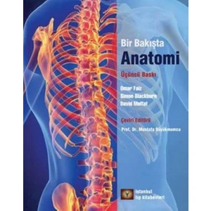 Bir Bakışta Anatomi