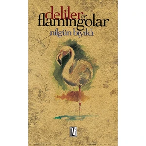 Deliler ve Flamingolar - Nilgün Bıyıklı
