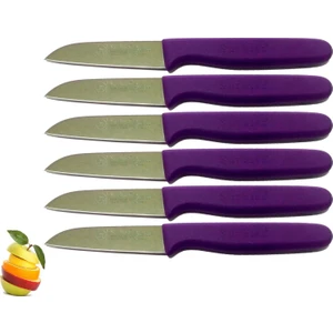 Sürmene 061007 Meyve Bıçağı 6 Lı Set 11 Renk Seçeneği