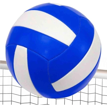 Anka Voleybol Topu (Profesyonel