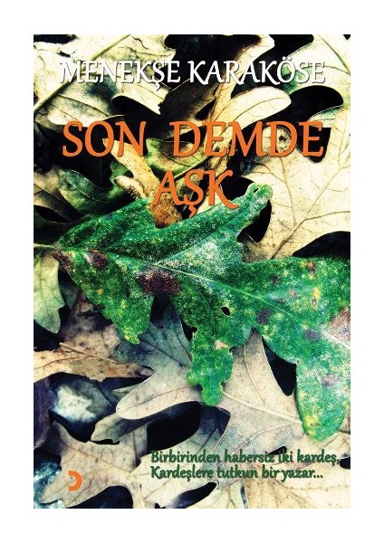 Son Demde Aşk