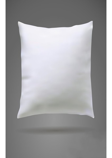 Kırlent İçi Yastık 43x43