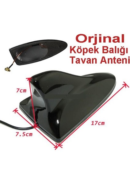 NKT Her Araca Uygun Köpek Balığı Balina Tavan Anten Universal Siyah fiyatları
