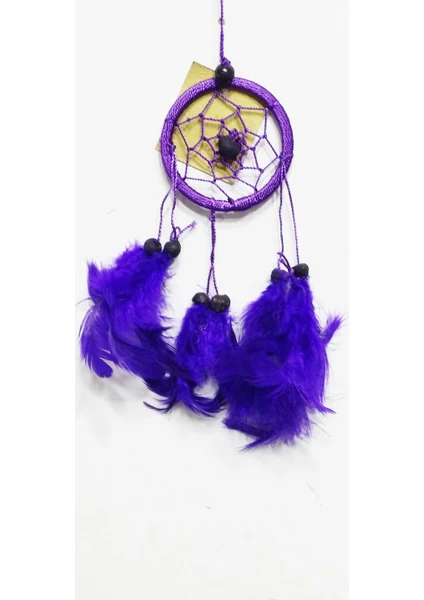 Dream Catcher Mor 6