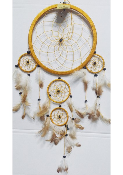 Dream Catcher 22