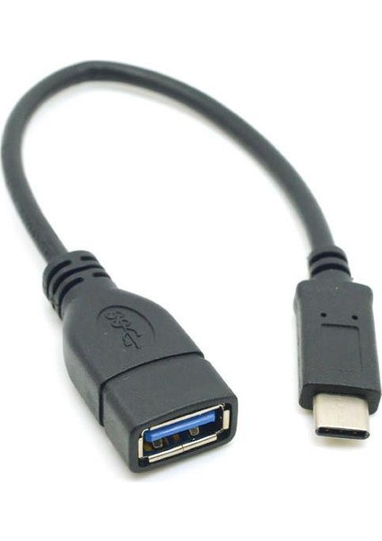 4698 USB 3.1 TYPE-C to OTG Çevirici