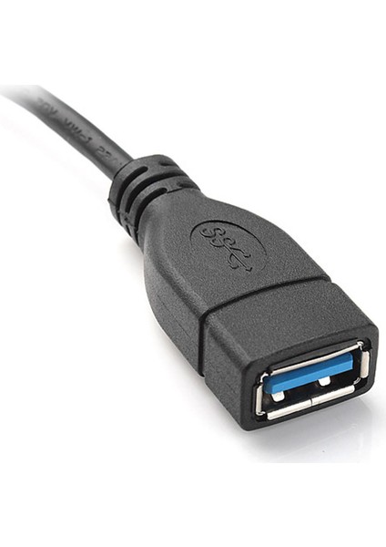 4698 USB 3.1 TYPE-C to OTG Çevirici