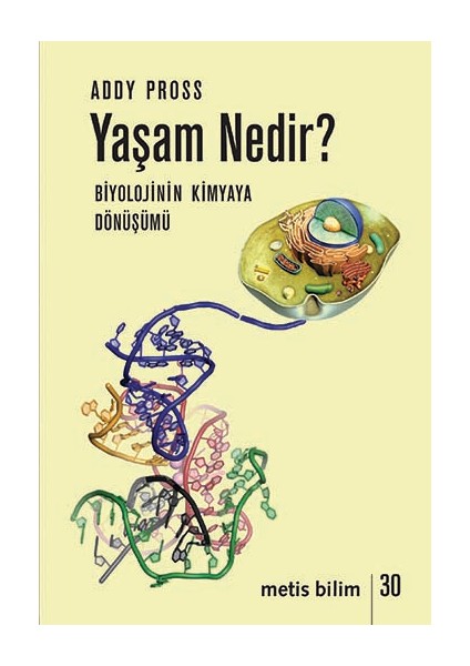 Yaşam Nedir? - Kimyanın Biyolojiye Dönüşümü - Addy Pross