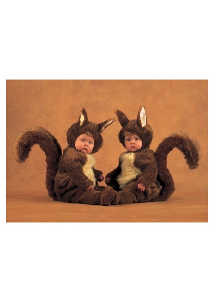 Squirrels