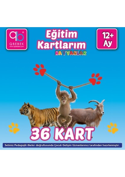 Eğitim Kartlarım: Hayvanlar 24+Ay