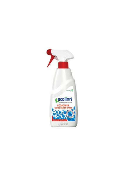 Ecopower Genel Hijyen Spray 650 ml