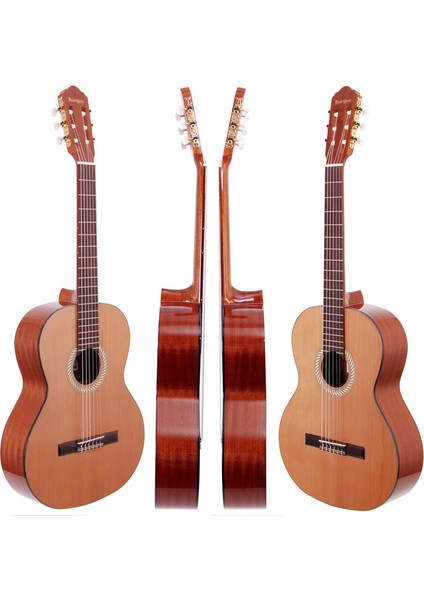 Gitar Pena Korumalığı Pg165yr fiyatları