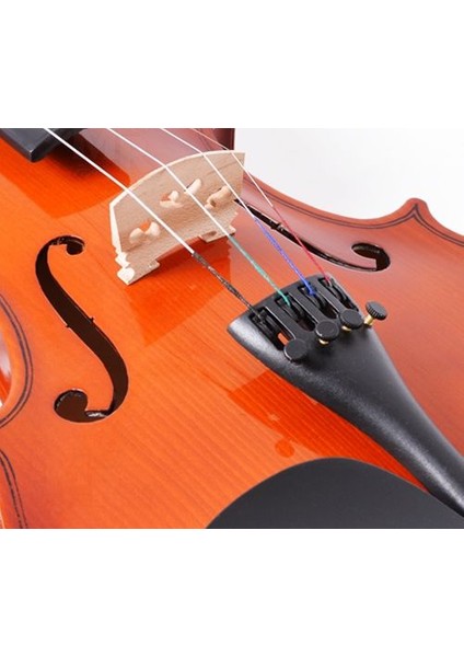 Keman Tam Takım Manuel Raymond MRV44CR modelleri