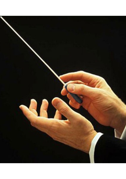 Hediyelik Şef Sopası Baton SB37