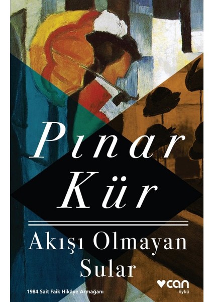 Akışı Olmayan Sular - Pınar Kür