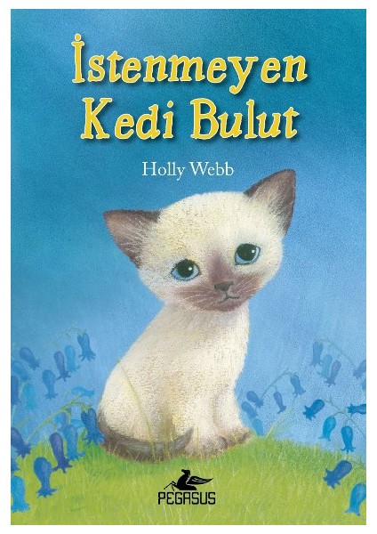 İstenmeyen Kedi Bulut