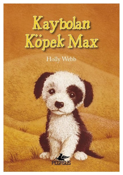 Kaybolan Köpek Max - Holly Webb