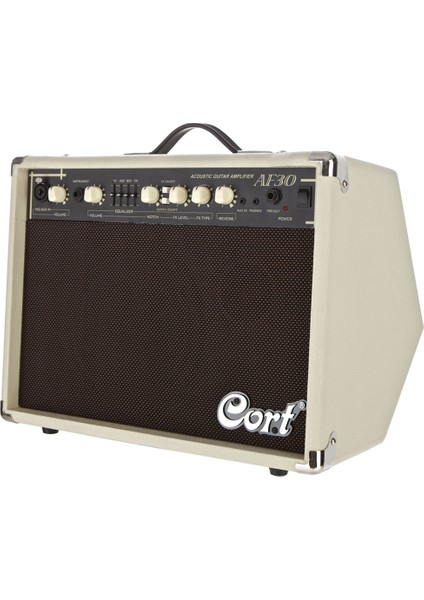 AF30 Çift Girişli Akustik Gitar Amfisi 30 Watt