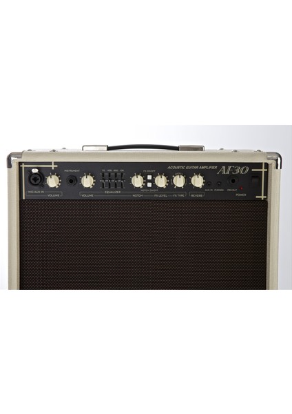 AF30 Çift Girişli Akustik Gitar Amfisi 30 Watt fiyatları