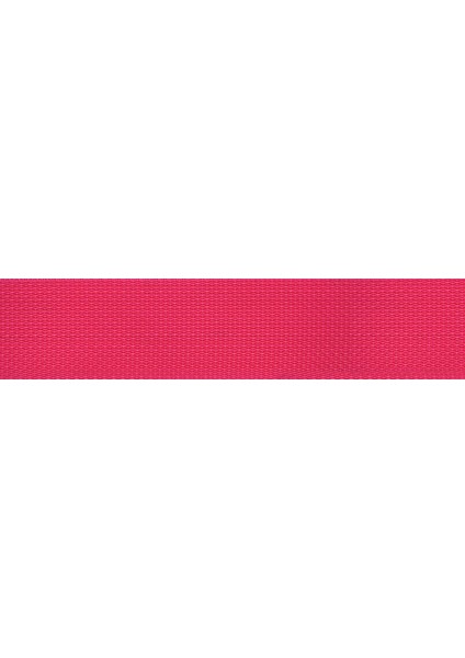 Planetwaves Pws106
