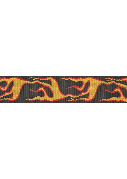 Planetwaves 50Pla01