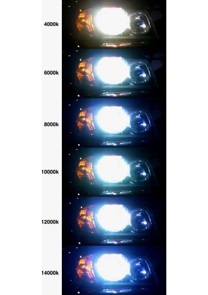 Tvet D2S 6000K Xenon Far Ampulü