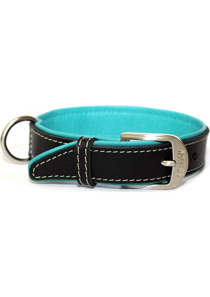 Leather Collar Terranova Flat 50Cm X 30Mm Sıyah/Petrol Mavısı