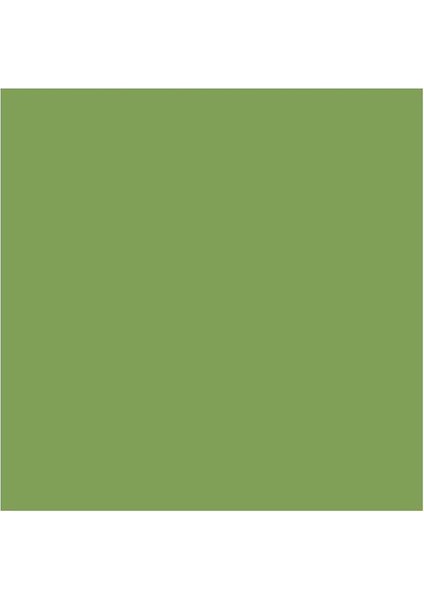Pastel Kalemi - Mineral Green
