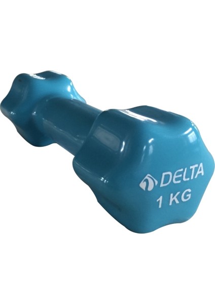 1 Kg x 1 Adet Deluxe Pvc Kaplama Turkuaz Demir Dambıl