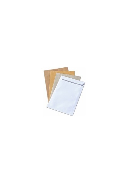 Asil Torba Zarf Formula 300x400 100 gr 100'lü