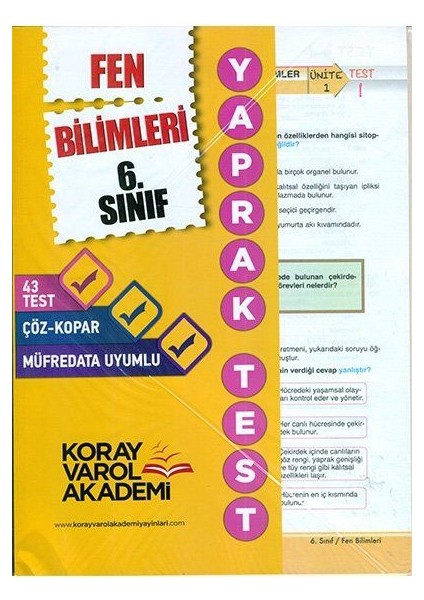 6.Sınıf Fen Bilimleri Yaprak Test