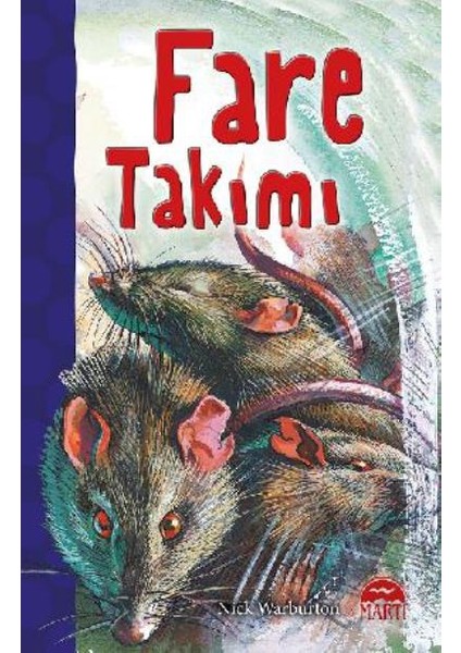 Fare Takımı