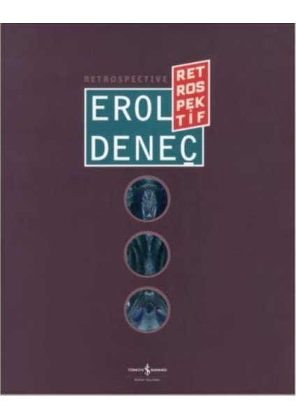Erol Deneç (Retrospektif / Retrospective)