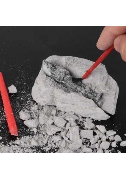 Mumya Arkeolojik Kazı Seti fiyatları