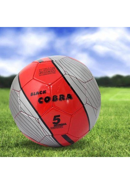 Dikişli Futbol Topu