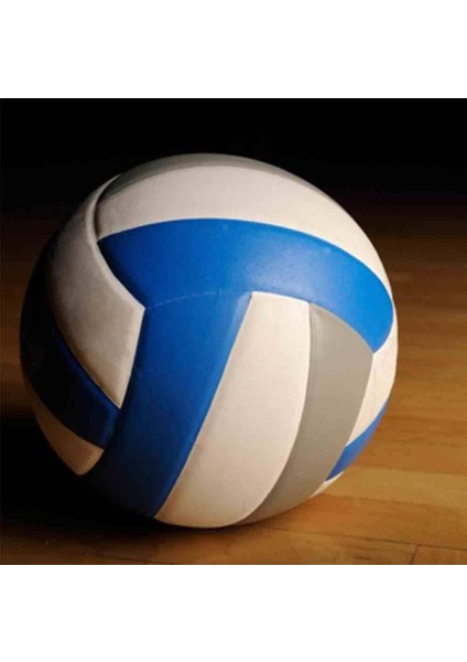 Voleybol Topu (Profesyonel Boy) fiyatları