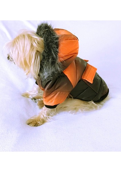 Degrade Turuncu Poof Bang By Kemique - Köpek Montu