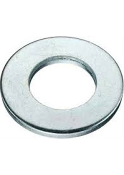 Galvaniz Pul M16 ( 25 Adet )