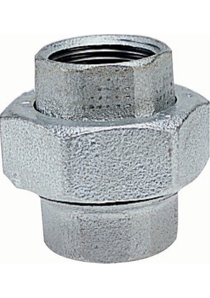 Siyah Konik Rekor 1/2