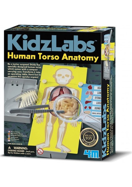 İnsan Gövde Anatomisi 3373
