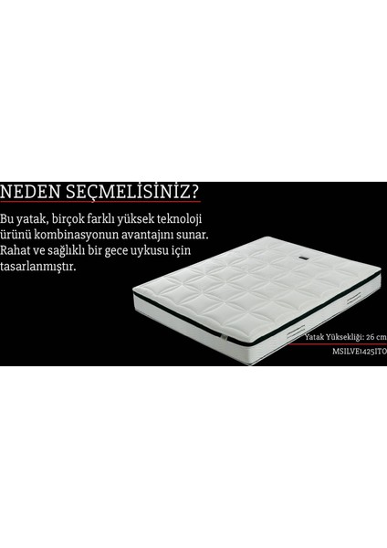 Silver Stone fiyatları