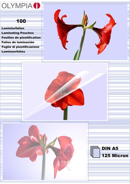 A5 Pvc Poşeti 125 Mic