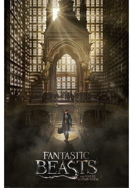Maxi Poster Fantastic Beasts Teaser Pp33937