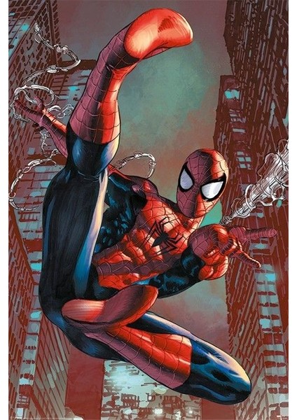 Maxi Poster Spider-Man Web Sling Pp34010