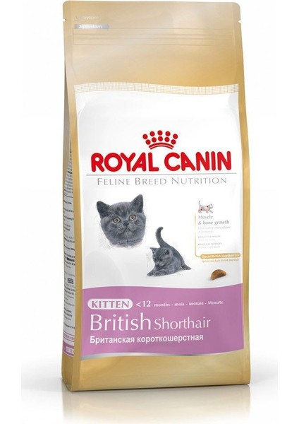 British Shorthair Için Özel Yavru Kedi Mamasi 2 Kg