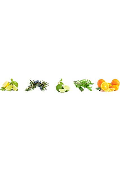 Tısserand Saf Organik Enerji Aromaterapi Yağı Roller Ball 10 Ml