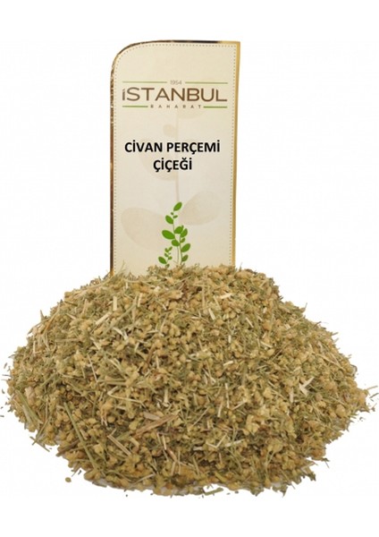 Civan Perçemi Çiçeği 60 Gram