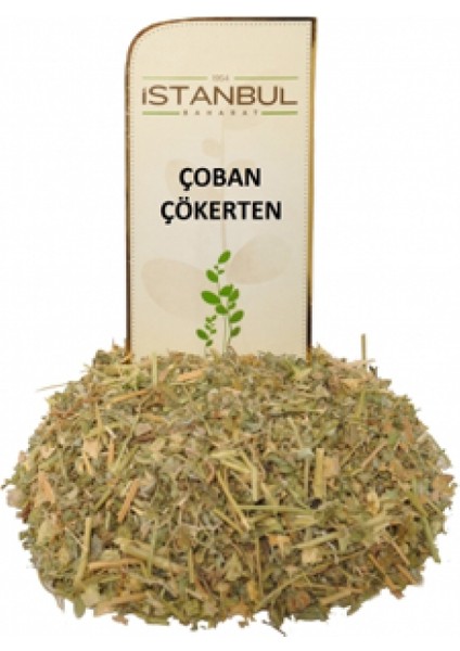 Çoban Çökerten 70 Gram