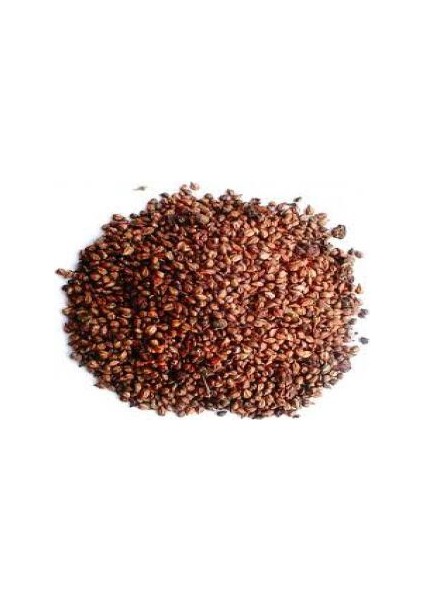 Memişoğlu Baharat Üzüm Çekirdeği Toz 1 kg